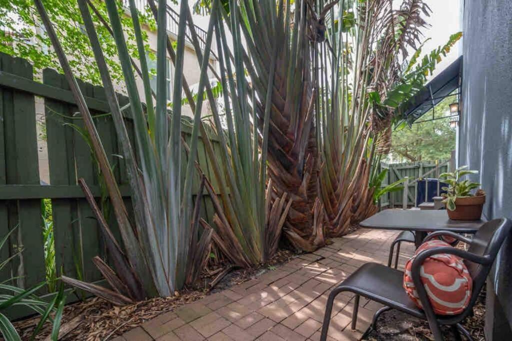 Nawlins Vibe With Rooftop Verandah Near Riverwalk And Downtown Tampa Ngoại thất bức ảnh